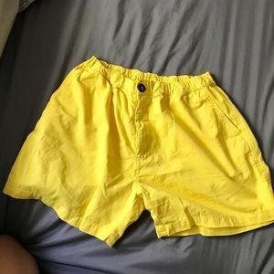 Yellow large men's chubbies